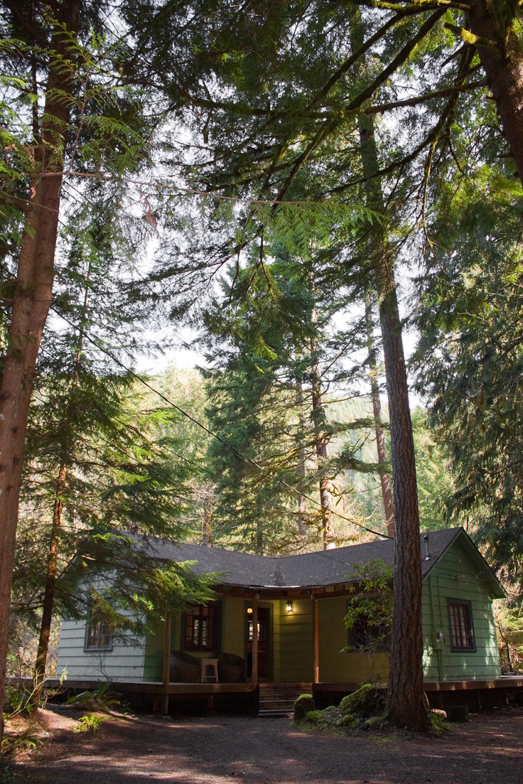 a small green cabin nestled in the woods