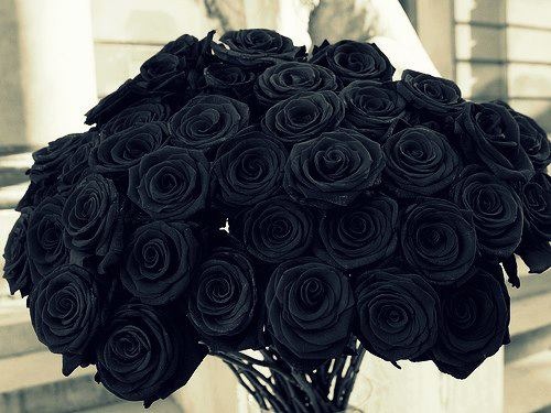 a bouquet of red roses sitting on top of a table in front of a building