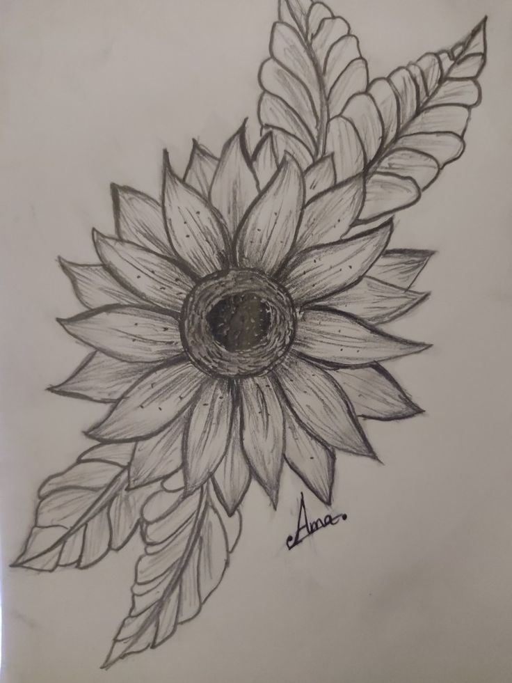 a drawing of a sunflower with leaves on the bottom and one flower in the middle