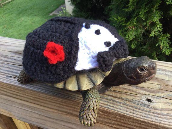 a small turtle is wearing a knitted hat