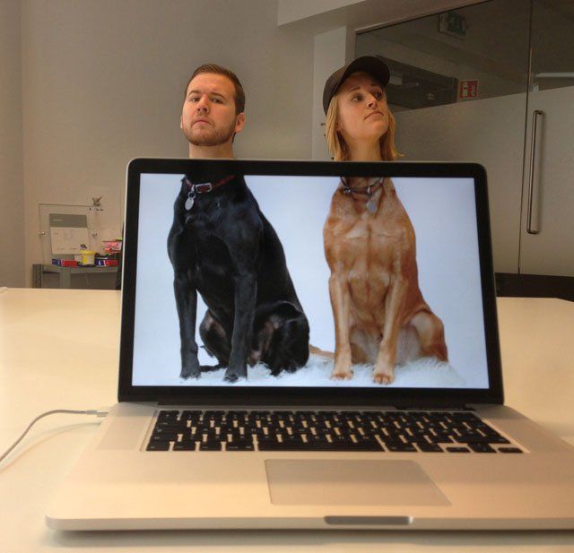 a man and woman sitting in front of a laptop computer with two dogs on the screen