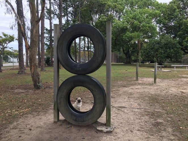 two tires stacked on top of each other in the middle of a park with trees