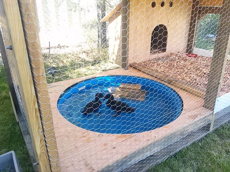 a dog house made out of chicken wire with a blue mat on the ground in front of it