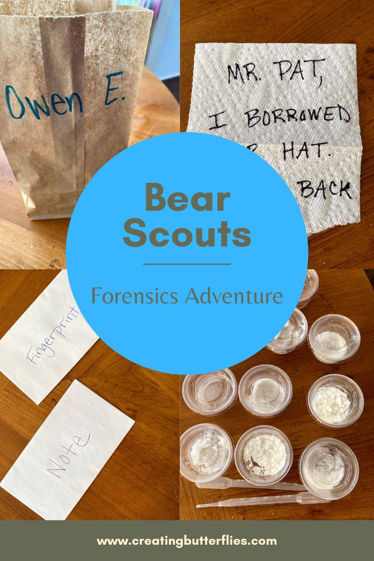 the bear scouts are making their own activities with paper bags and other things to do