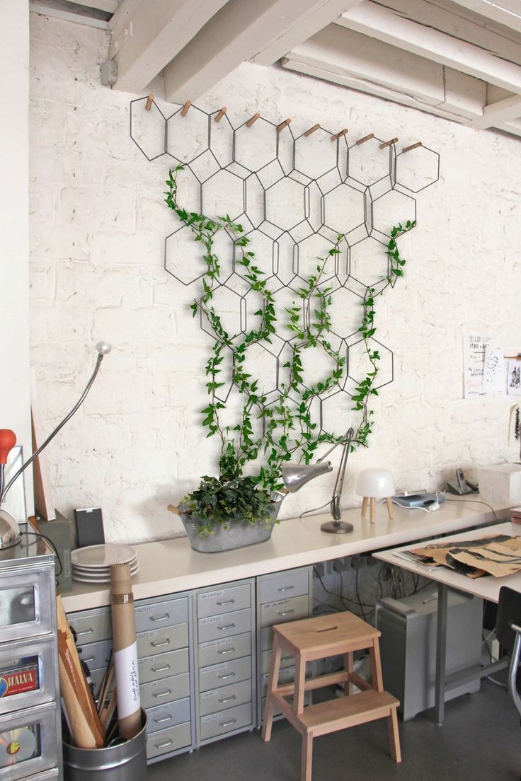 an office area with desks, chairs and plants in pots on the wall behind it