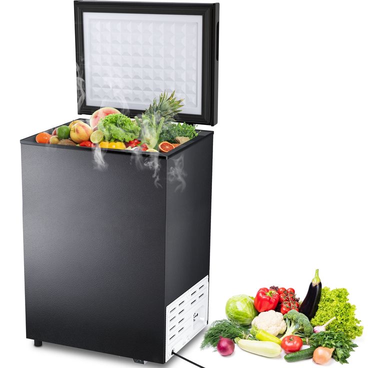 an image of a food dehydrator with fresh fruits and vegetables