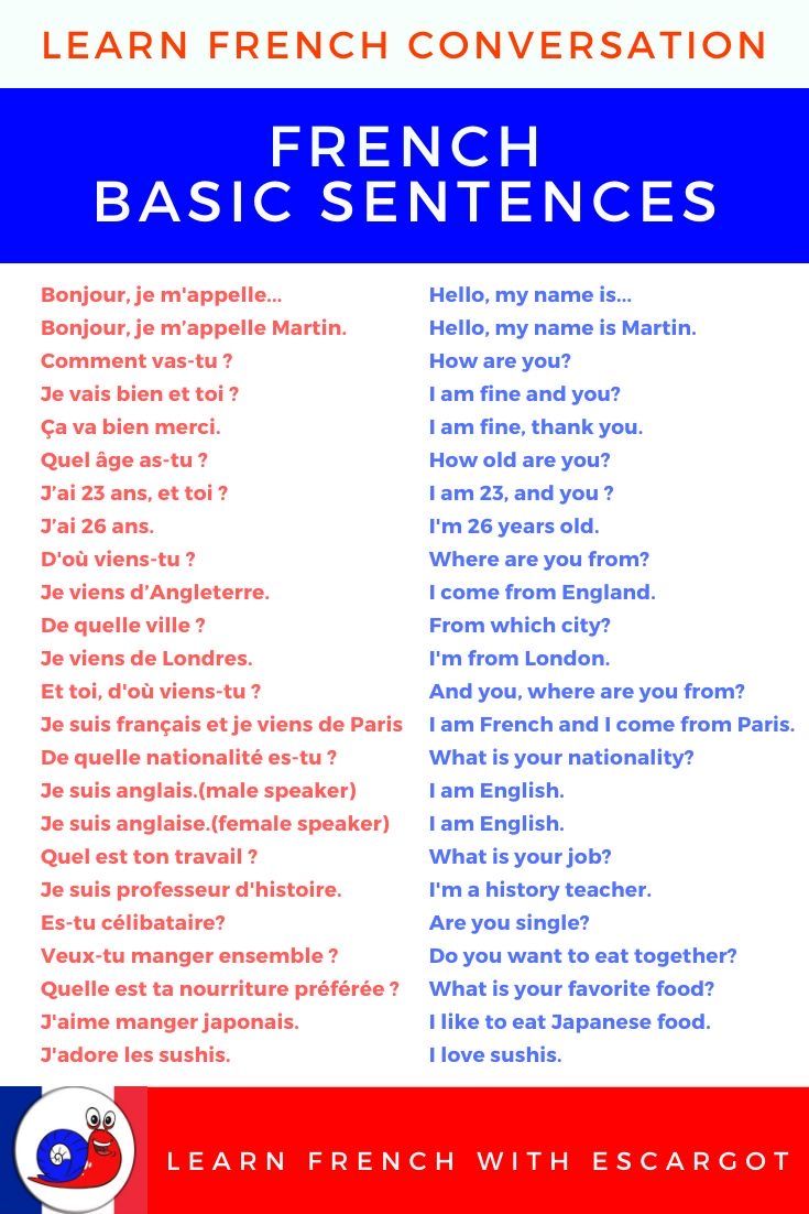 a french conversation with the words basic sentences in red, white and blue on it