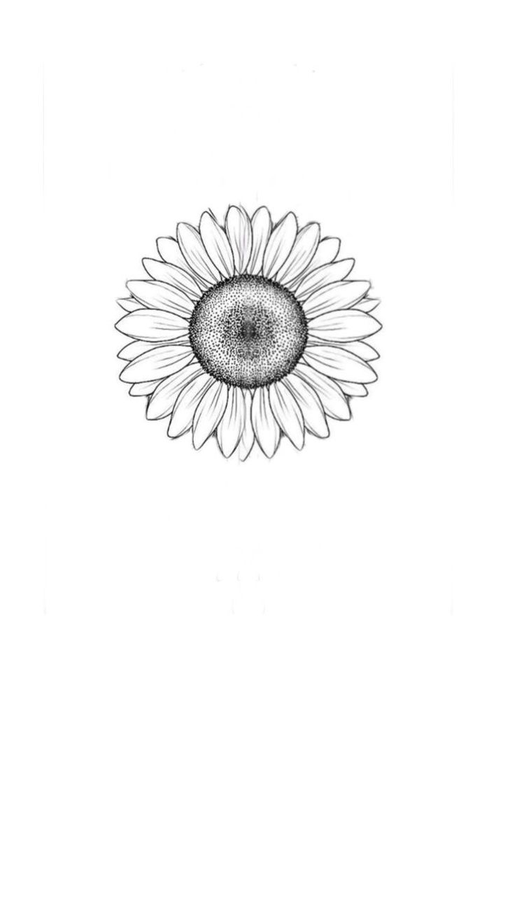 a black and white drawing of a sunflower