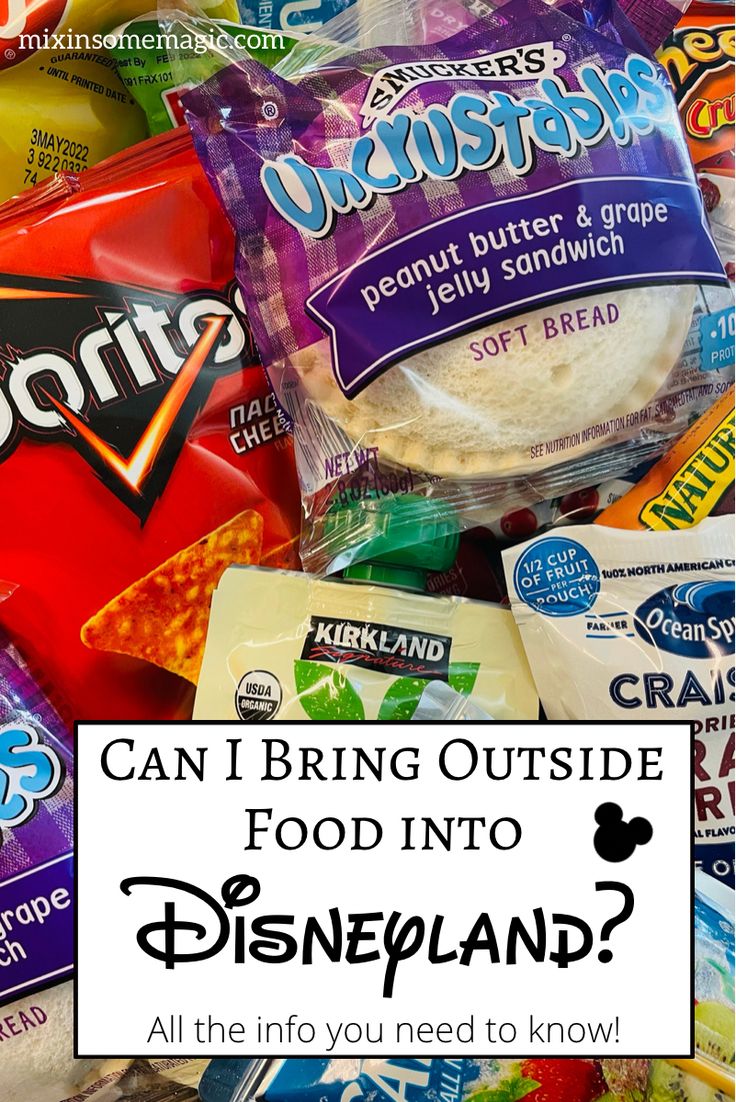 a pile of frozen food with the words can i bring outside food into disneyland?