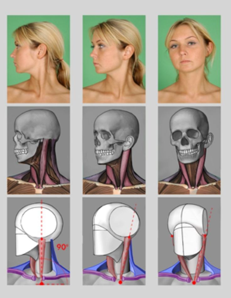 an image of a woman's head and neck with different facial expressions on it