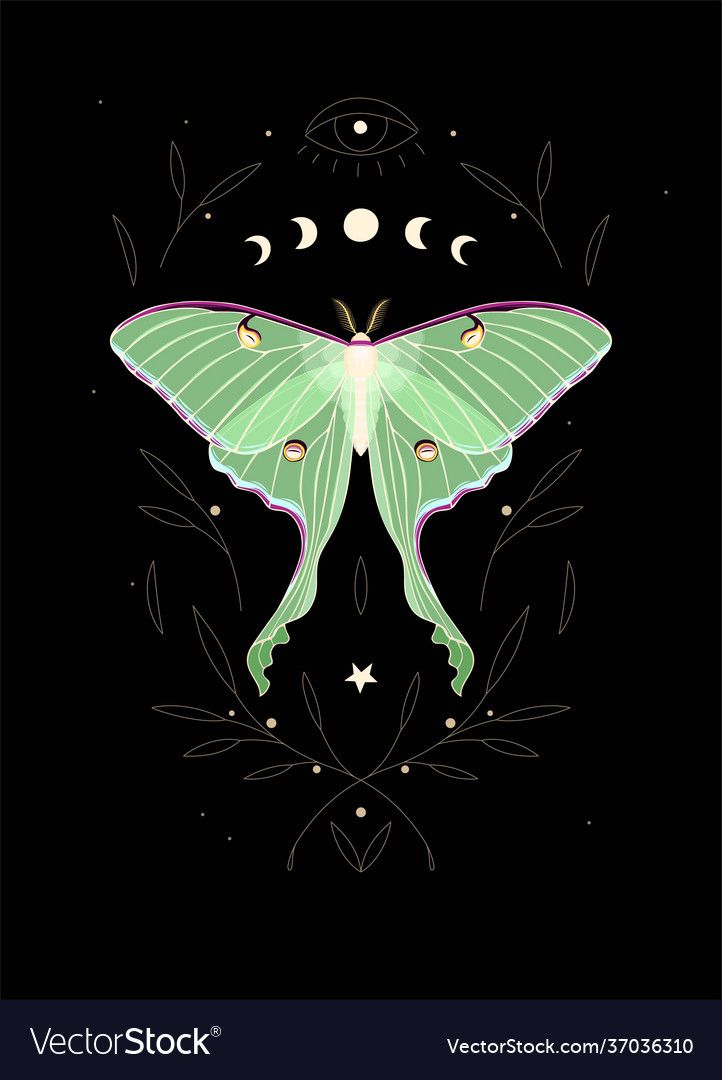 a green butterfly with crescents and stars on it's wings in the night sky