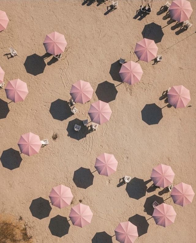 an overhead view of many pink umbrellas on the beach