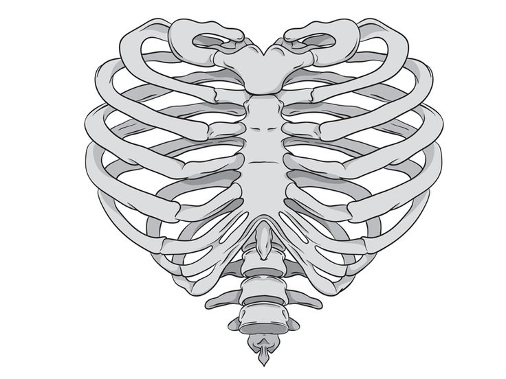 the ribcage is shown in black and white