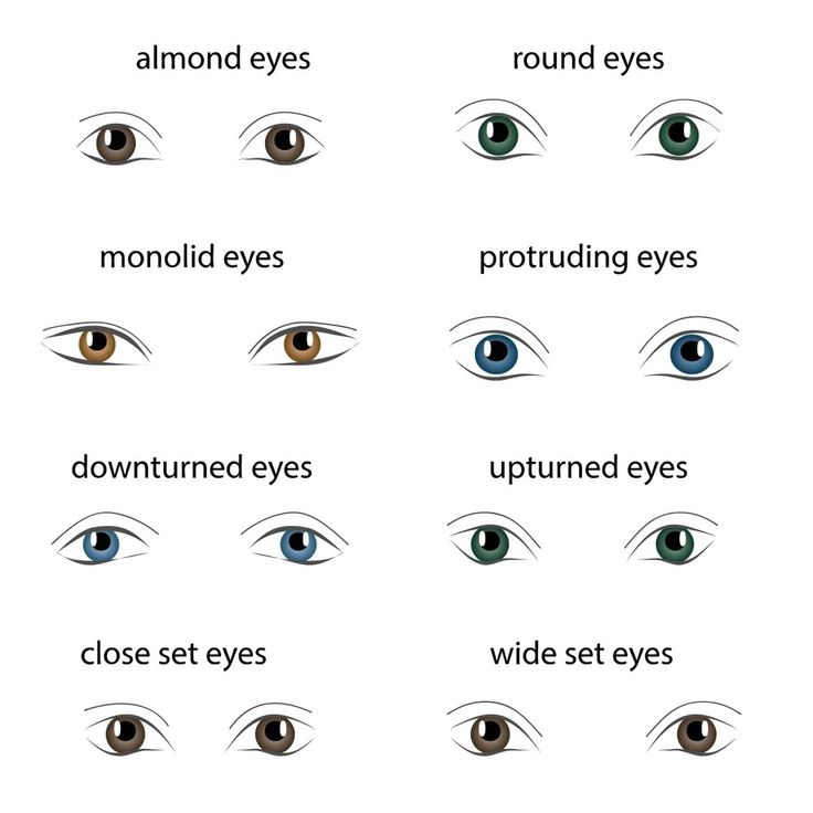 Eye Shape Chart, Different Types Of Eyes, Protruding Eyes, Wide Set Eyes, Shape Chart, Almond Shaped Eyes, Almond Eyes, Eye Chart, Heavy Makeup