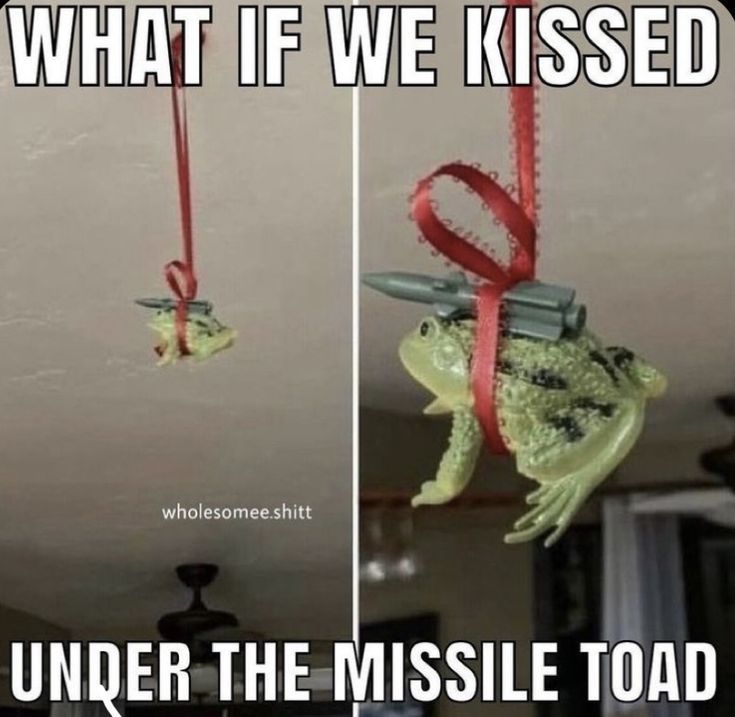 two pictures of a frog hanging from a ceiling with the caption, what if we kissed under the missile toad?