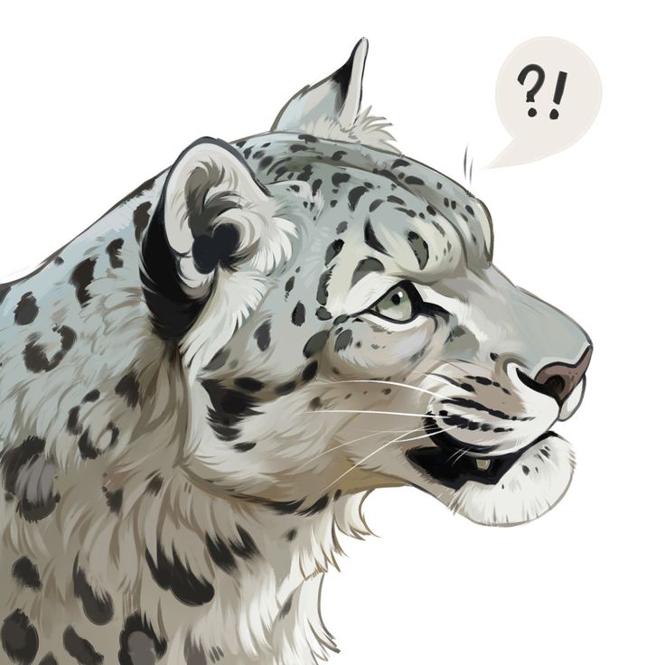 a drawing of a cheetah with a thought bubble above its head