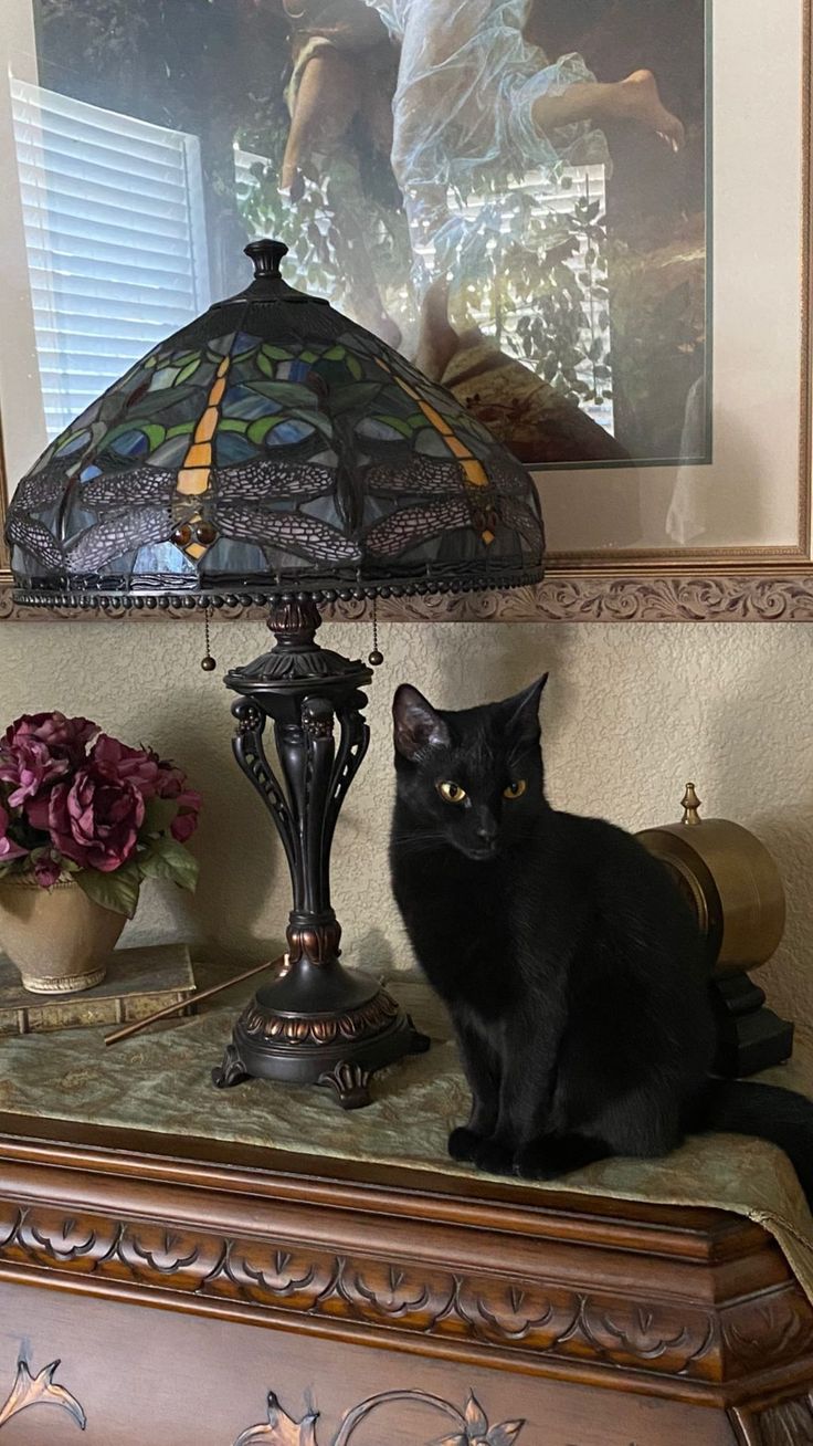 a black cat sitting on top of a table next to a lamp