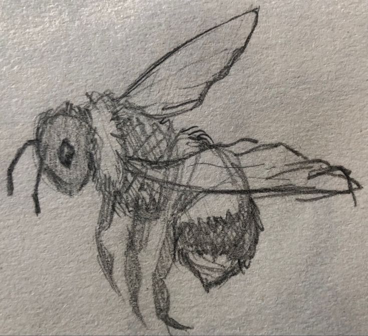 a drawing of a bee with wings on it's back legs and head is shown