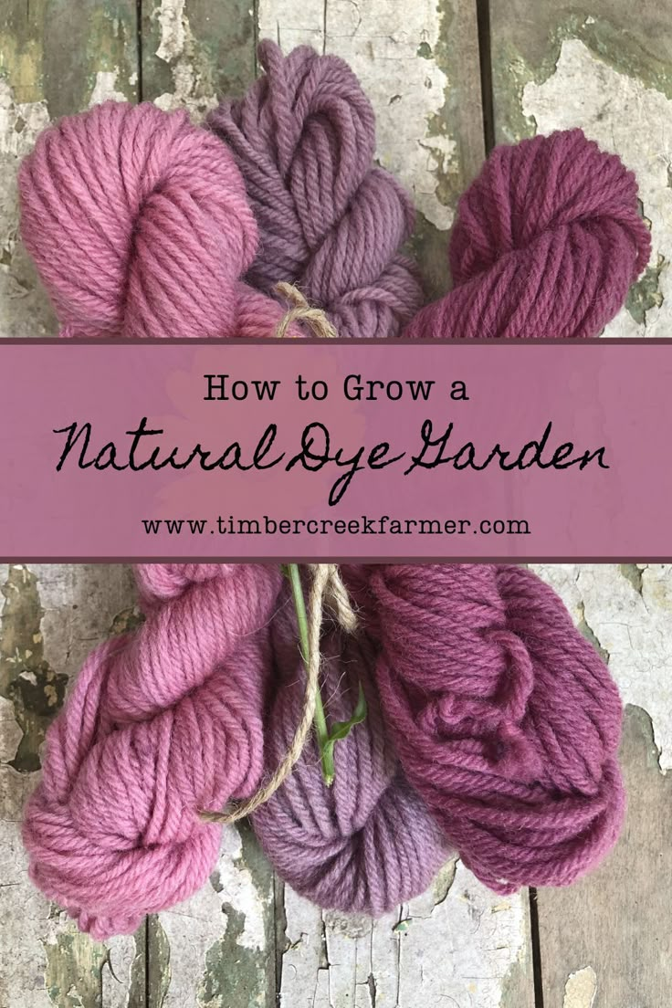 several skeins of yarn with the words how to grow a natural dye garden