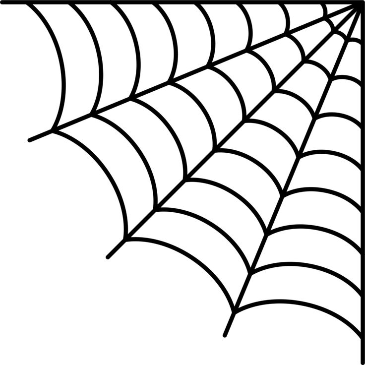 a black and white drawing of a spider web