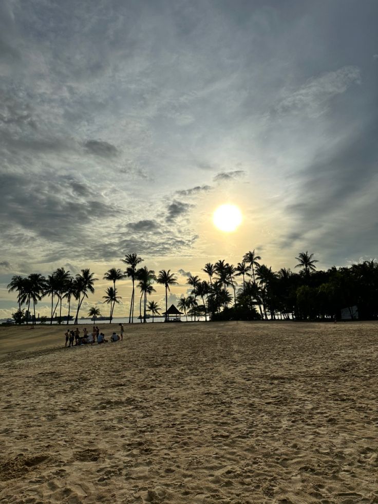 people sitting on the beach watching the sun go down over the water and palm trees