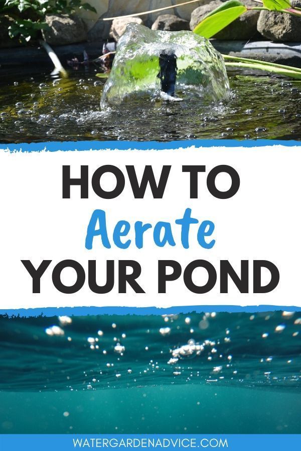 a pond with the words how to aerate your pond