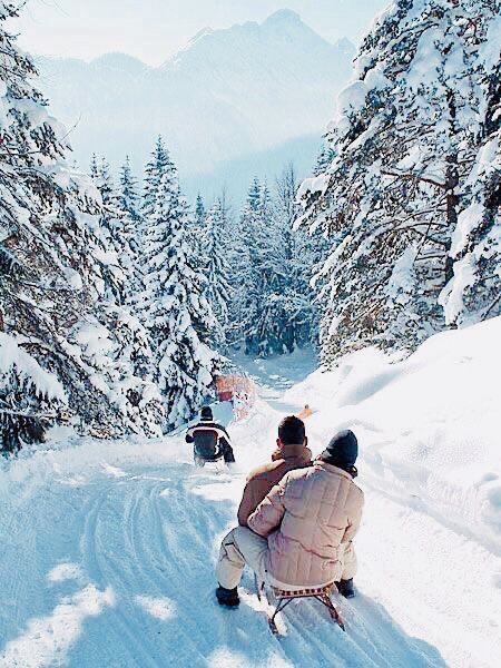 two people riding skis down a snow covered slope next to evergreen trees and mountains