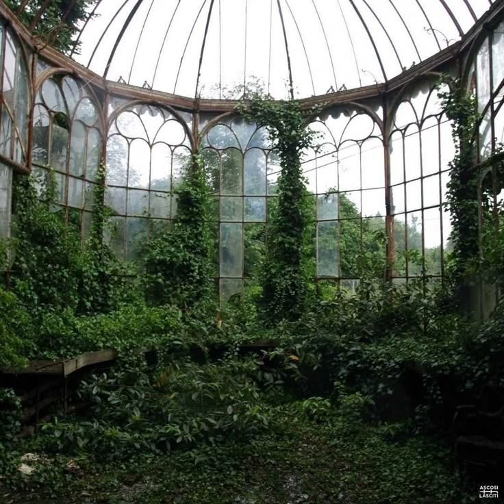 the inside of an abandoned building with ivy growing on it's walls and windows