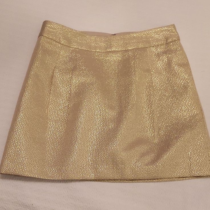 Nwt Pleated Mini Skirt Lined And Has Pockets Beautiful Gold Color Perfect For A Holiday Party Non-Smoking Home Chic Gold Lined Skirt Bottoms, Chic Gold Bottoms With Lined Skirt, Chic Gold Skirt, Gold Fitted Mini Skirt, Chic Gold Mini Skirt, Chic Gold Mini Length Bottoms, Fitted Gold Mini Skirt For Spring, Gold Lined Skirt For Night Out, Gold Lined Skirt