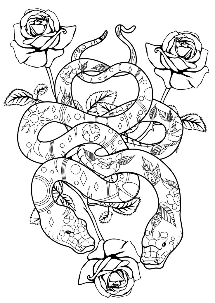 a snake with roses on it coloring page