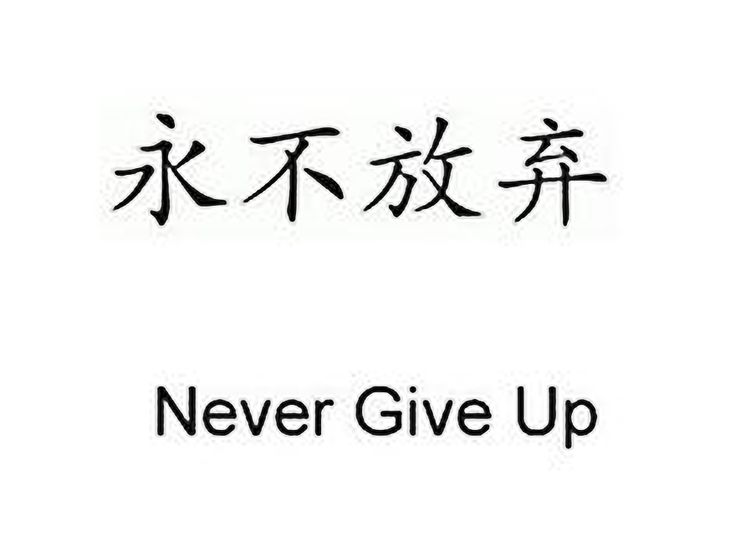 the words never give up written in chinese