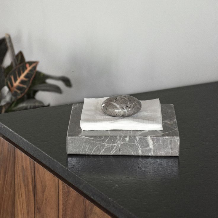 a marble plate on top of a black counter next to a potted green plant