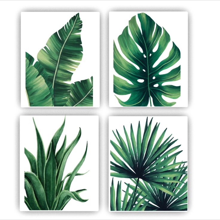 $14.99 Plants Pictures, Watercolor Aesthetic, Bathroom Canvas, Aesthetic Posters, Plant Wall Decor, Minimalist Watercolor, Paintings Watercolor, 3 Piece Canvas Art, Plant Painting