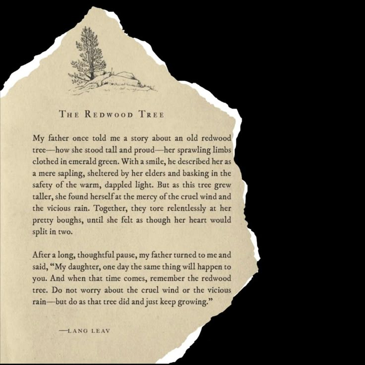 a piece of paper with an image of a tree and the words redwood trees on it