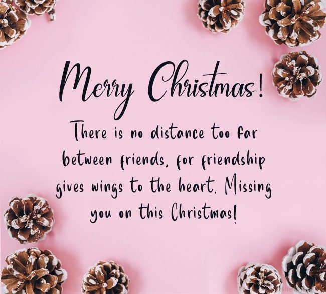 pine cones on pink background with merry christmas card in center and words above it that reads, there is no distance too for between friends