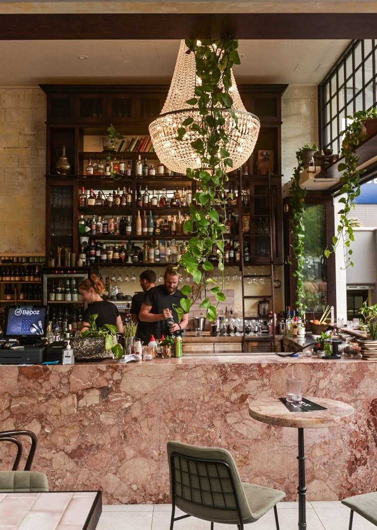 two people sitting at a bar with plants hanging from the ceiling