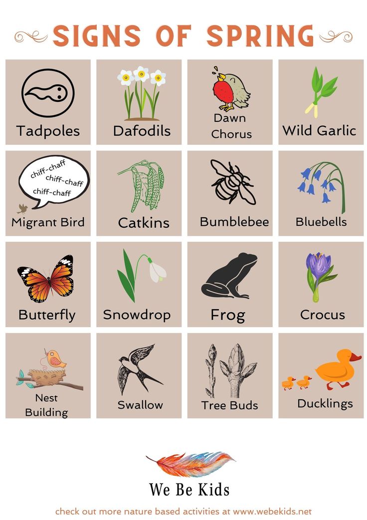 the signs of spring are shown in this poster