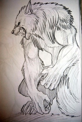 a drawing of a wolf with claws on it's back