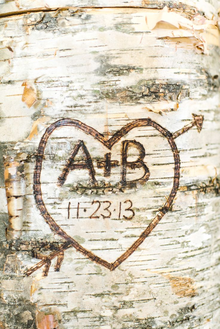 a heart carved into the bark of a tree with an arrow on it's side