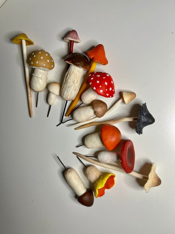 several different types of mushrooms on toothpicks arranged in the shape of a circle