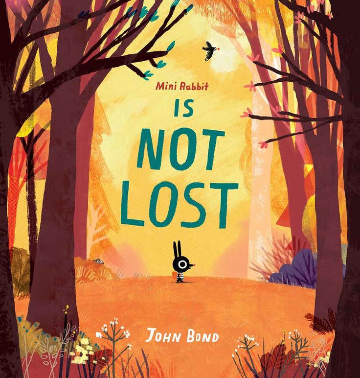 a book cover with an image of a rabbit in the woods, and text that reads not lost