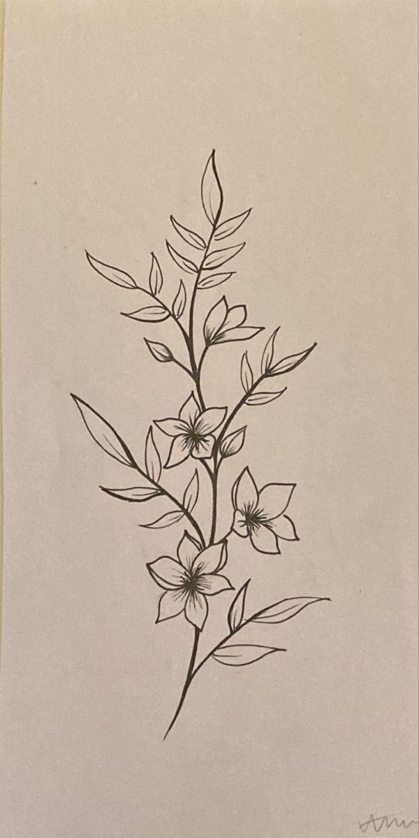 flower tattoo drawing Hawthorne Flower Drawing, Hawthorn Tattoo, Hawthorne Flower Tattoo, Hawthorne Flower, Ceramics Projects, Flower Tattoo Designs, Christmas Drawing, Projects Ideas, Flower Tattoos