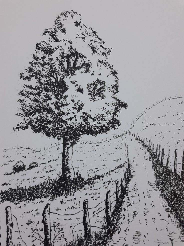 a black and white drawing of a tree in the middle of a field with a fence