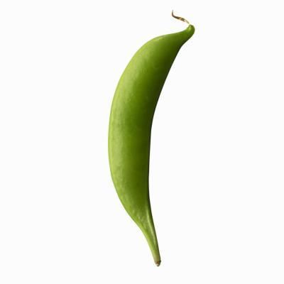 a long green pea on a white background with clippings to the left and right side