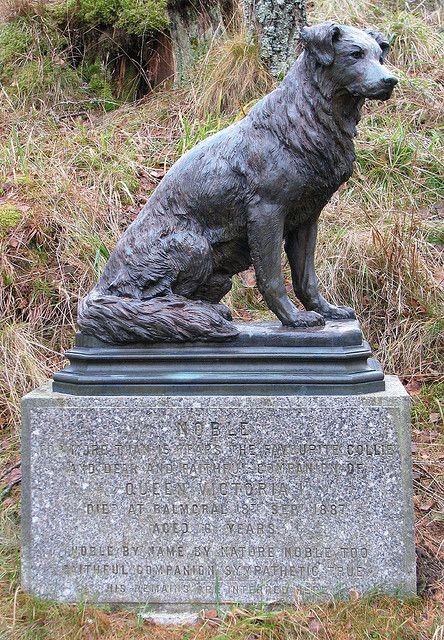 a statue of a dog sitting on top of a stone slab in the grass next to a tree