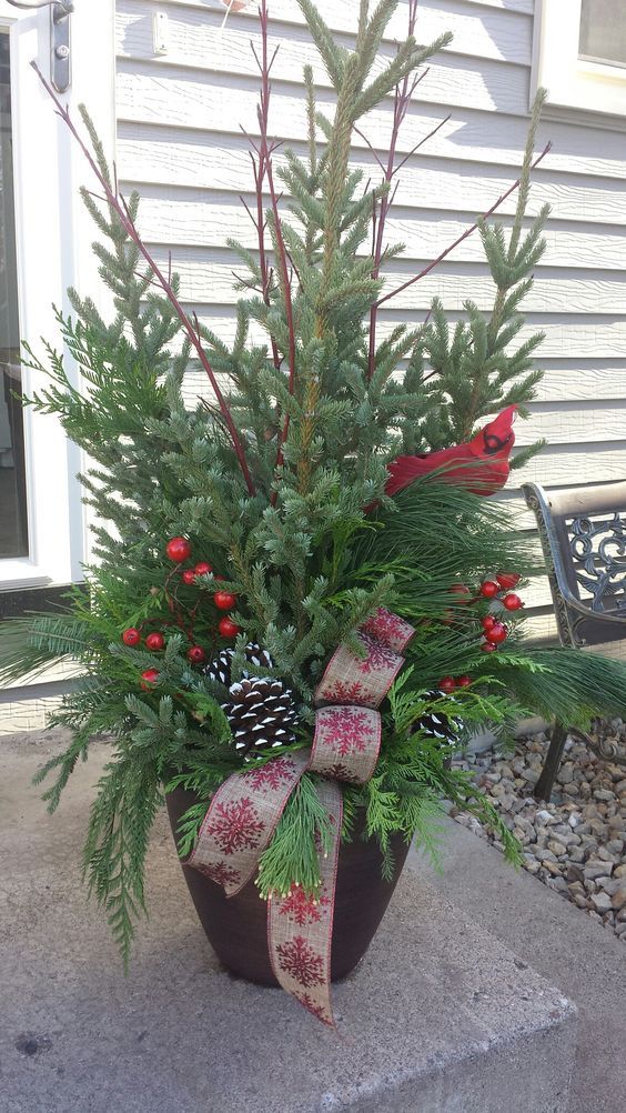 a potted plant with red berries and pine cones