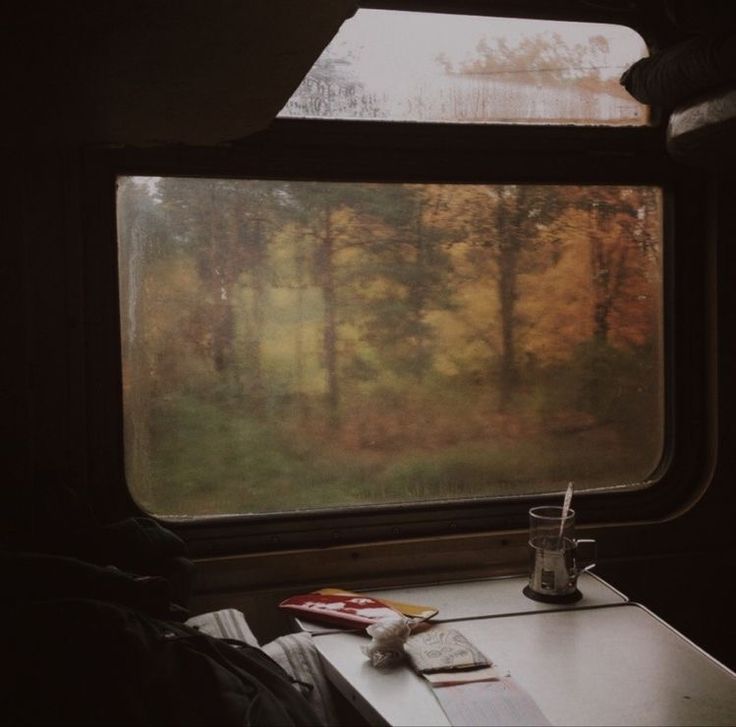 the view from inside a train car looking out at trees and grass in the distance