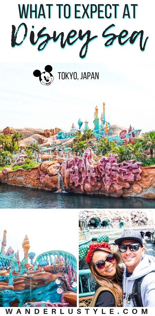 the tokyo disneyland sea with text overlay that says what to expect at disneyseau