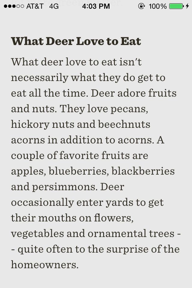 the text is displayed on an iphone screen, which reads what deer love to eat