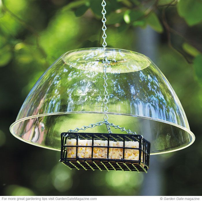 a bird feeder hanging from a tree branch